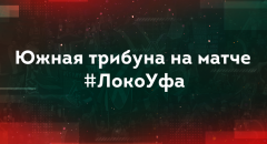 болельщики
