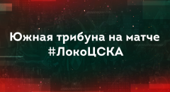 болельщики